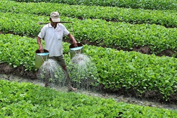 Có nên tái sử dụng nước thải của máy lọc nước hay không ?