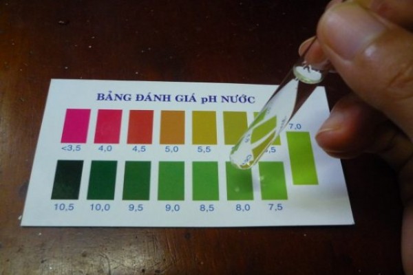 Độ kiềm của nước là gì?
