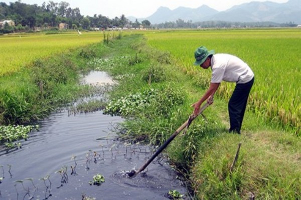 Việt Nam là quốc gia chịu ảnh hưởng ô nhiễm nặng nề nhất trong nông nghiệp