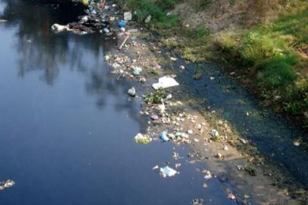 Một số bệnh thường gặp do ô nhiễm nước