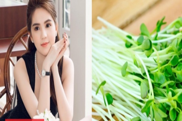 Đẹp như Ngọc Trinh chỉ là nhờ vài bó rau mầm mỗi ngày