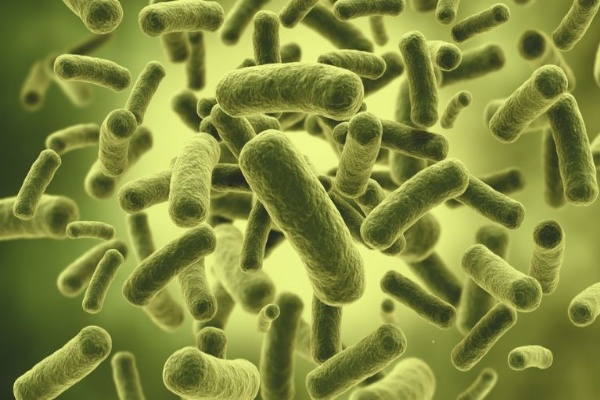 Thực hư tác hại của vi khuẩn Coliform và E.coli trong nước
