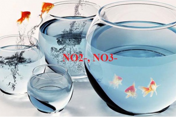 Nước nhiễm Nitrat, nitrit có nguy hiểm không và cách xử lý