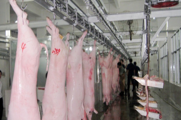 Thiết kế thi công hệ thống xử lý nước thải giết mổ gia súc
