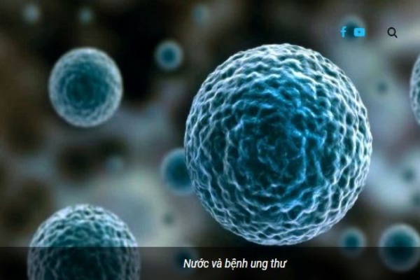 Mối quan hệ giữa nước và bệnh ung thư