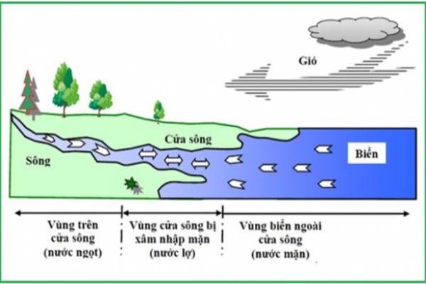 Nước Lợ Là Gì, Nước Lợ Có Lọc Được Không?