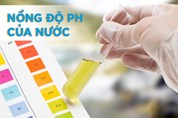 Cách kiểm tra chỉ số nồng độ pH của nước