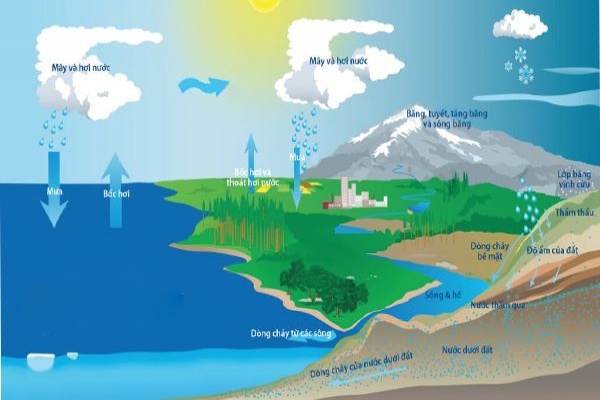 Tìm hiểu Vòng tuần hoàn nước trên Trái đất như thế nào?