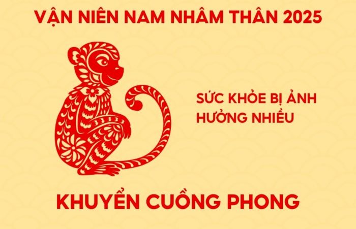 Vận niên nam Nhâm Thân 1992 năm Ất Tỵ 2025 là Khuyển Cuồng Phong