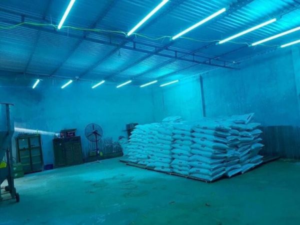 Pretech cung cấp đa dạng công suất đèn UV diệt khuẩn theo yêu cầu